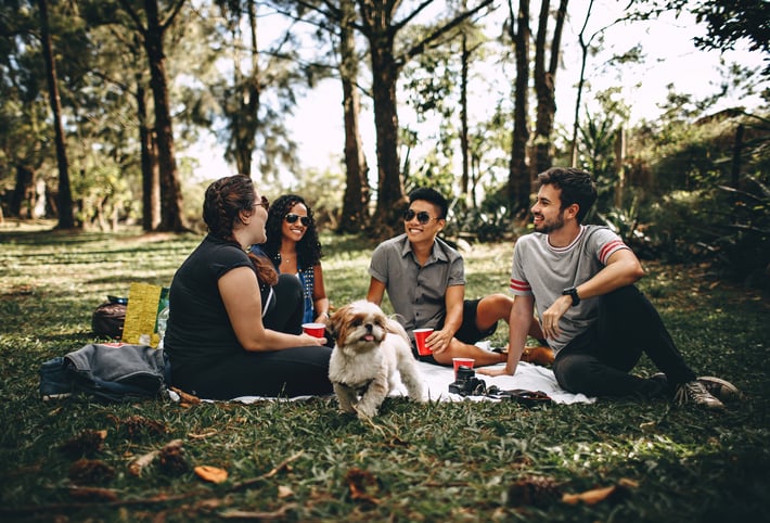 chatting-dog-faces-745045